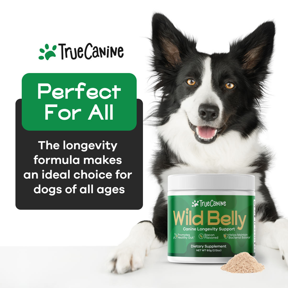 Wild Belly Canine Longevity Formula