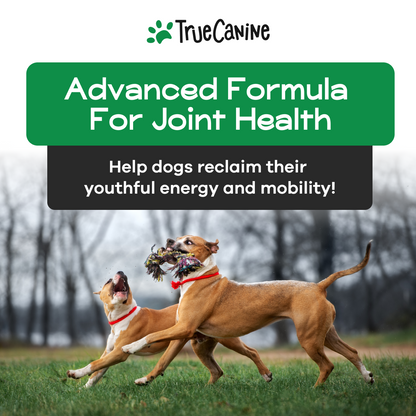 New Flex Canine Joint Formula