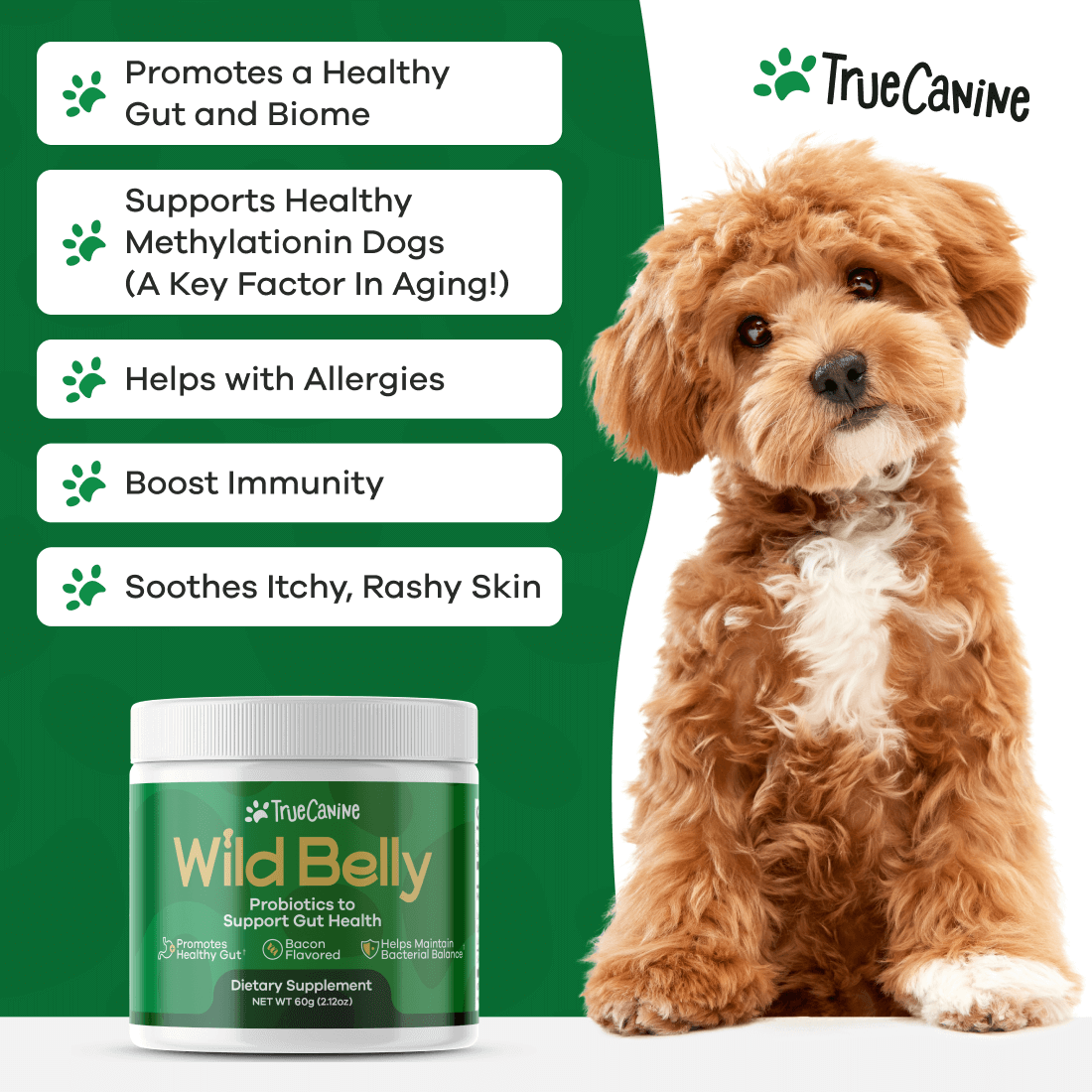 Wild Belly Probiotic / Longevity Support