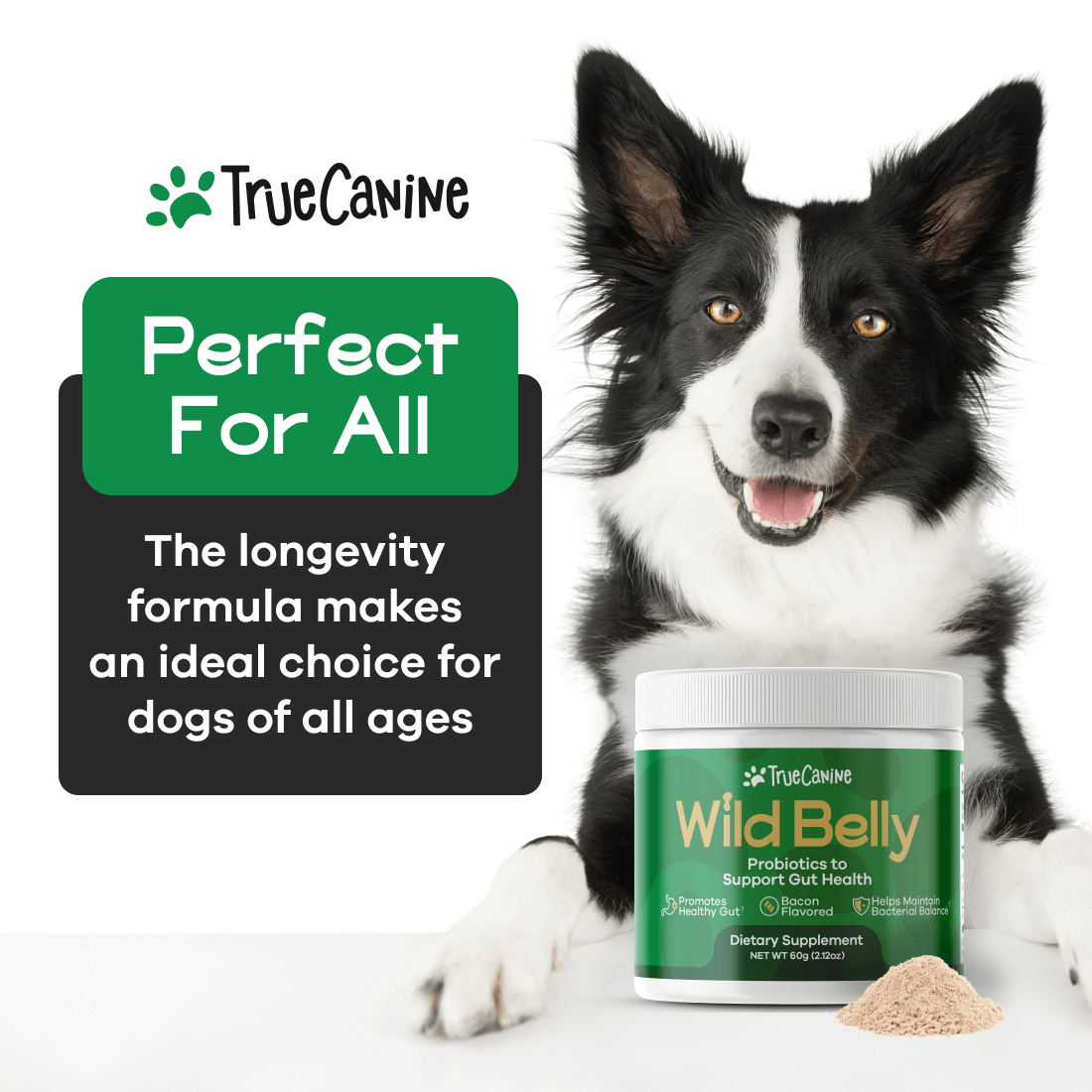 Wild Belly Probiotic / Longevity Support