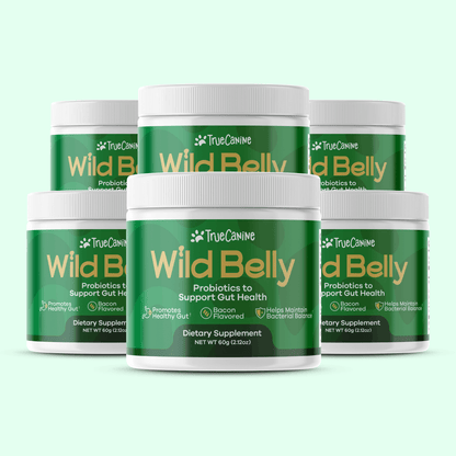 Wild Belly Probiotic / Longevity Support