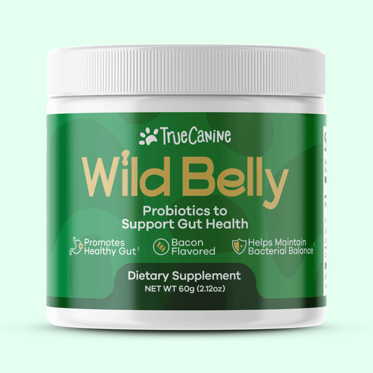 Wild Belly Probiotic / Longevity Support